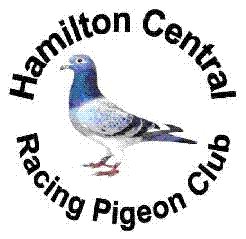 http://hamiltoncentral.orgfree.com/images/HCRPC%20Logo.gif